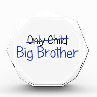 Funny Big Brother Design Award