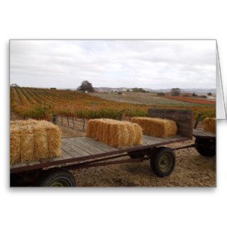 Harvest Season at Doce Robles, Paso Robles Card