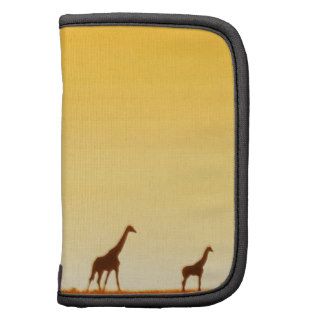 Giraffe Walk Along Organizer