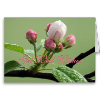 Apple Buds Card  customize any occasion