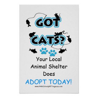 Got Cats? Animal Shelter Adoption Poster
