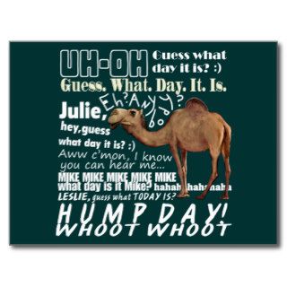 Camel Guess What Day Post Cards