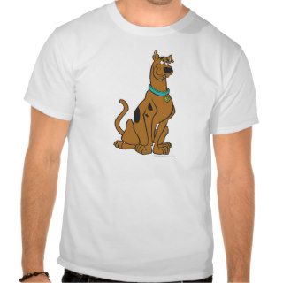 Scooby Doo Pose 27 T Shirt