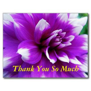 Thank You Card with Dahlia Background Post Cards