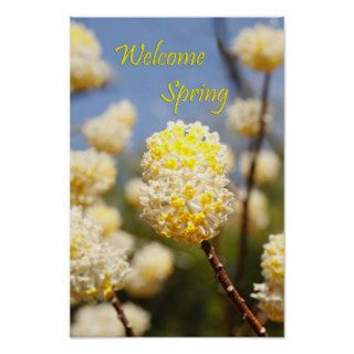 Welcome Spring Poster