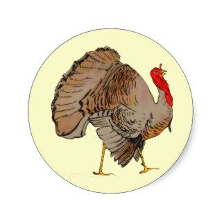 Full Color Thanksgiving Turkey Round Stickers
