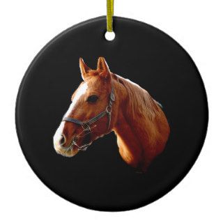 Your Horse   ornament