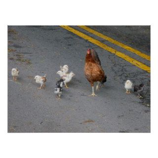 Why did the chicken cross the road? posters