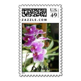 orchid Orchids flower postage stamps