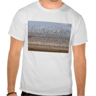 Snow geese during spring migration 3 tshirts