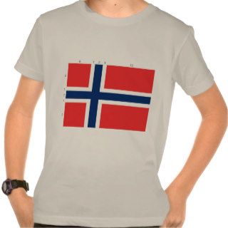 Norway With Proportions, Norway flag T shirts