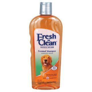 Fresh N Clean Long Lasting Scented Shampoo   Gallon  Pet Shampoos 