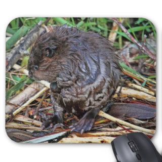 Baby Beaver Photo Mouse Pads