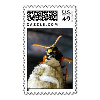 Buggy Eyed Yellow Jacket Wasp Postage Stamp