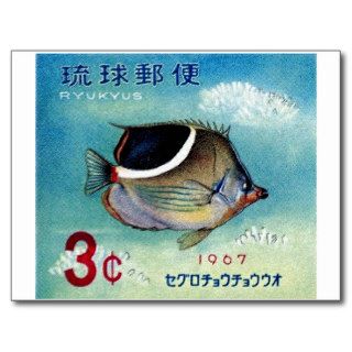 1967 Ryukyu Islands Butterflyfish Stamp Postcard