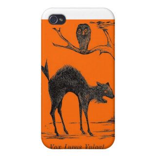 Freaky Halloween Cat and Crow Case For iPhone 4