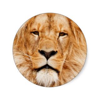 Lion Portrait Round Stickers