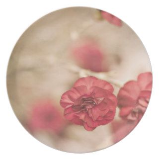 Small Pink Flowers Plates