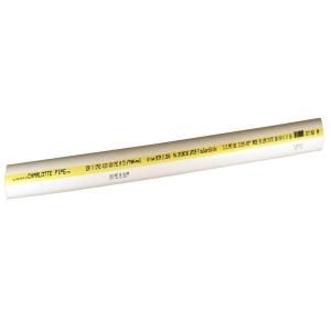Charlotte Pipe 1 in. x 2 ft. CPVC Water Supply Pipe CTS 12010  0200