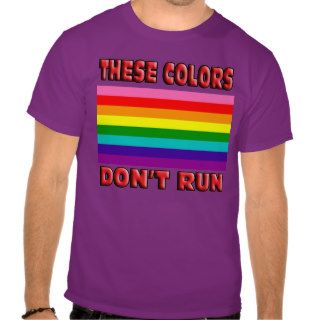 These colors dont run. Original 8 stripe LGBT flag T Shirt