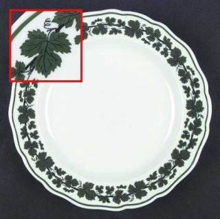 Meissen (Germany) Full Green Vine (Scalloped, No Trim) Dinner Plate, Fine China