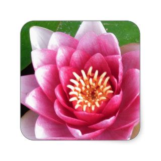 Red Lotus Flower Stickers