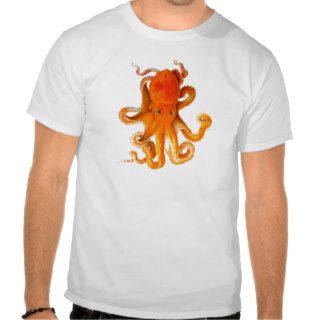 Octopus Art Cephalopod No.9 Shirt