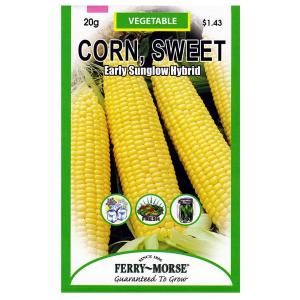Ferry Morse Corn Early Sunglow Hybrid Seed 8112