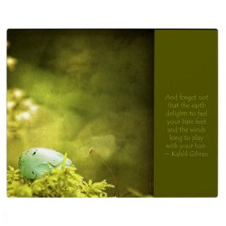 Robin's Egg on Moss with Inspirational Saying Plaque
