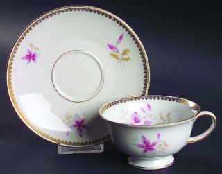 Rosenthal   Continental Orchid (Aida) Footed Cup & Saucer Set, Fine China Dinner