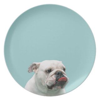 Bulldog funny face with tongue sticking out, gift plate