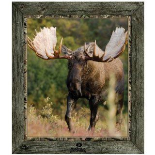 Framed Moose Indoor Wall Graphic   Wall Decor Stickers