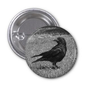 Black crow pin