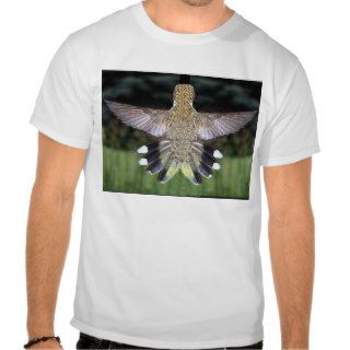 Ruby Throated Hummingbird 2005 0524a T shirts