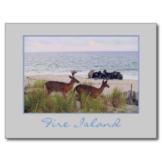 'Romantic Evening Stroll Along the Beach' Postcard