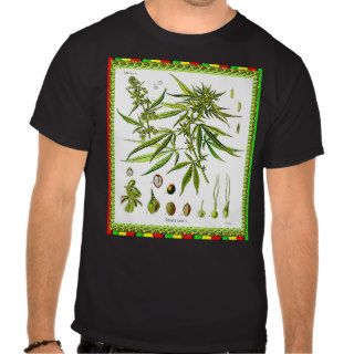 Vintage Botanical Illustration, 1897   A weed T Shirt