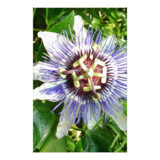 Passiflora Against Green Foliage In A Garden Personalized Stationery