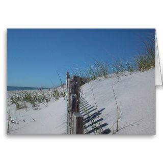 Dune Fence Cards