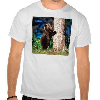 Bear Hug Grizzly Cub Tshirts