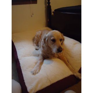 Armarkat Brown Pet Bed, 39 Inch by 28 Inch by 5 Inch  Dog Bed Large 