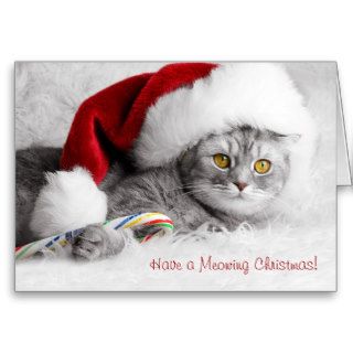 Christmas Cat Greeting Card