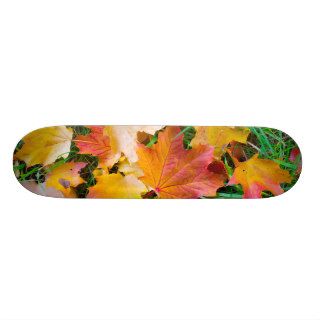 Falling maple leaves on a ground custom skate board