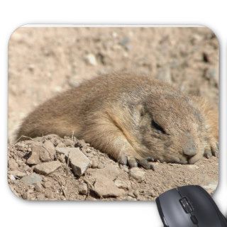 Sleeping Prairie Dog Mousepad