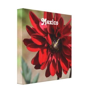 Aztec Dahlia Gallery Wrapped Canvas