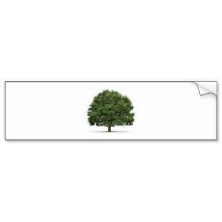 Oak Tree Bumper Stickers