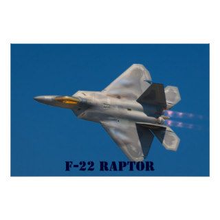 F22 RAPTOR PRINT