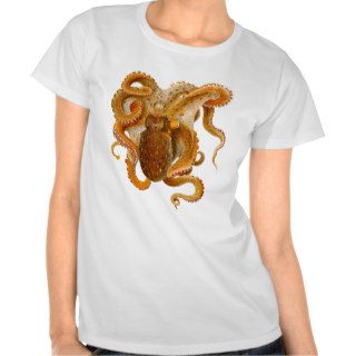 Octopus Print No.2 Cephalopod Sea Creature Art T Shirts