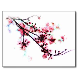 Cherry Blossom Painting Postcard