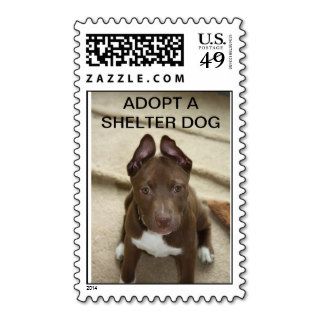 CT Underhound Railroad   Adopt Stamp