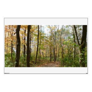 Autumn Trees on Walking Path Panoramic Mural Wall Graphic
